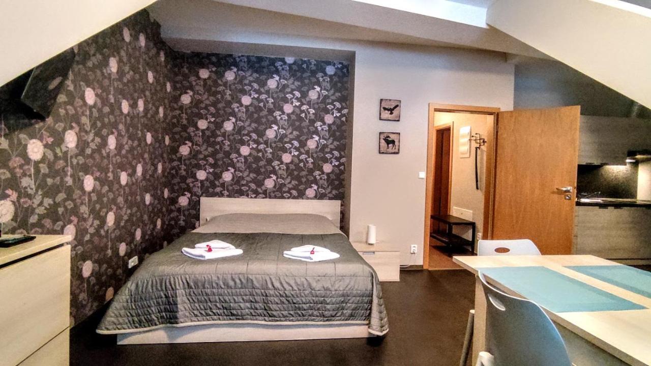 Horsky Apartman 1+Kk V Relaxacnim Prostredi Anenskeho Udoli Lejlighed Harrachov Eksteriør billede