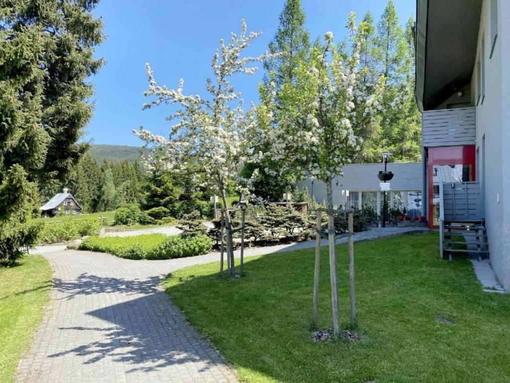 Horsky Apartman 1+Kk V Relaxacnim Prostredi Anenskeho Udoli Lejlighed Harrachov Eksteriør billede